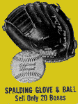 Rawlings Glove