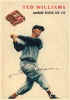 1954 Wilson Franks Ted Williams