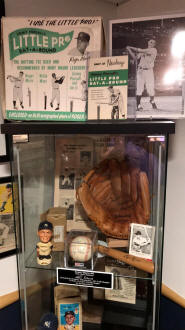 Roger Maris  Display Case